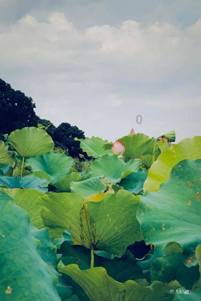 令人不快的意外